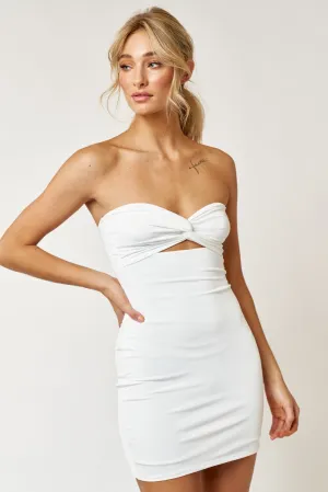 Alexandria Fitted Dress