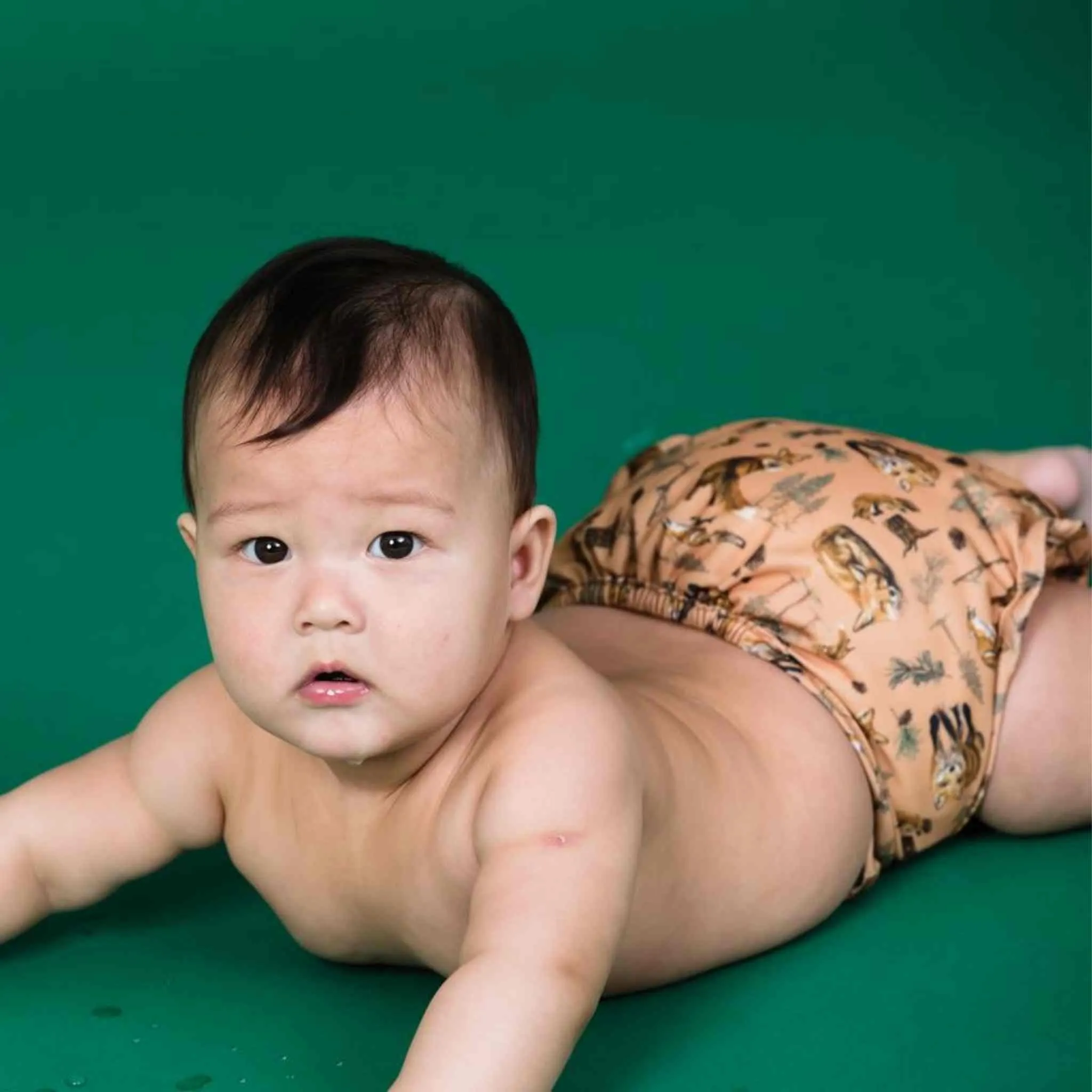 Fitted Nappy Complete Kit