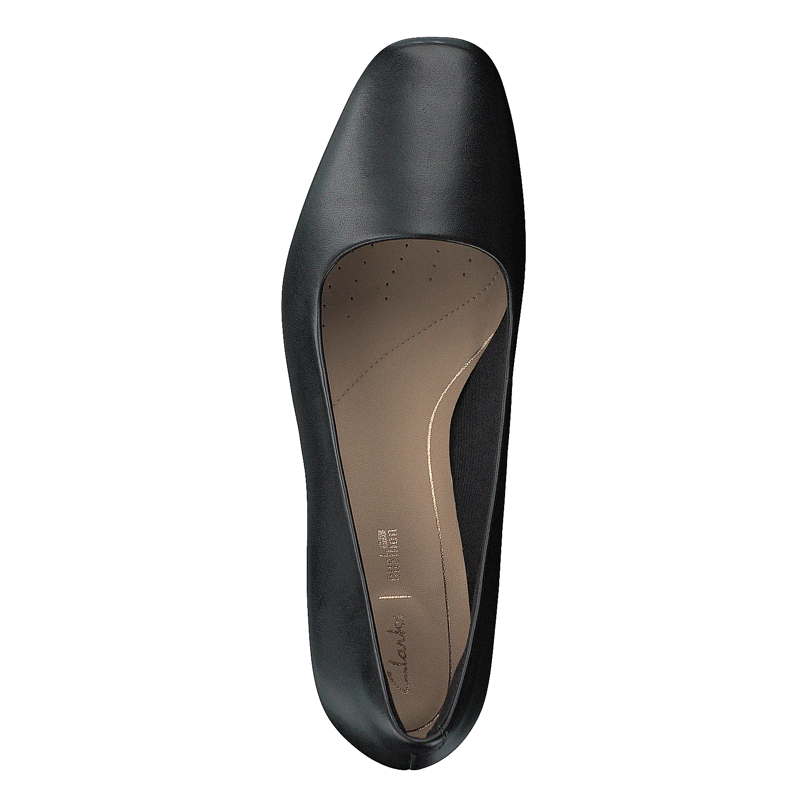 Sheer Rose Black Leather